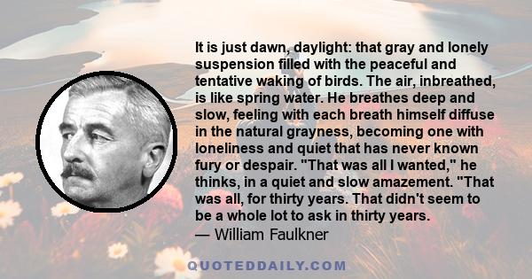 It is just dawn, daylight: that gray and lonely suspension filled with the peaceful and tentative waking of birds. The air, inbreathed, is like spring water. He breathes deep and slow, feeling with each breath himself