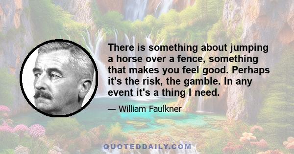 There is something about jumping a horse over a fence, something that makes you feel good. Perhaps it's the risk, the gamble. In any event it's a thing I need.