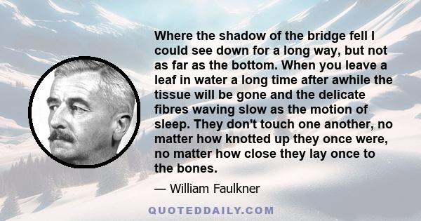 Where the shadow of the bridge fell I could see down for a long way, but not as far as the bottom. When you leave a leaf in water a long time after awhile the tissue will be gone and the delicate fibres waving slow as