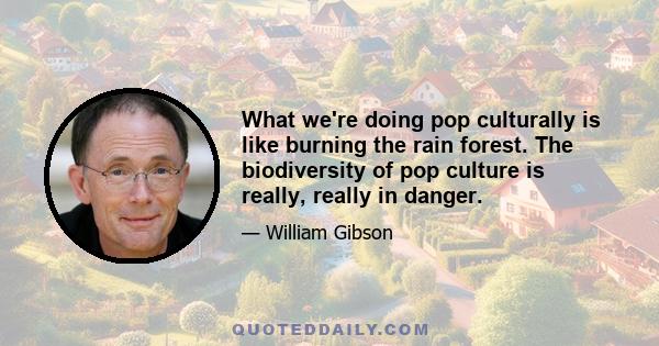 What we're doing pop culturally is like burning the rain forest. The biodiversity of pop culture is really, really in danger.