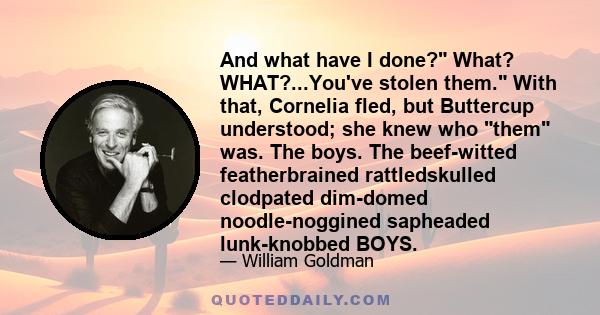 And what have I done? What? WHAT?...You've stolen them. With that, Cornelia fled, but Buttercup understood; she knew who them was. The boys. The beef-witted featherbrained rattledskulled clodpated dim-domed