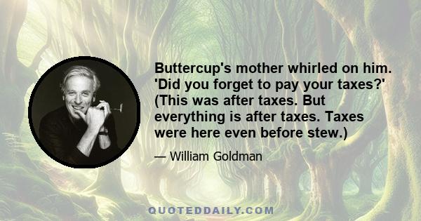 Buttercup's mother whirled on him. 'Did you forget to pay your taxes?' (This was after taxes. But everything is after taxes. Taxes were here even before stew.)