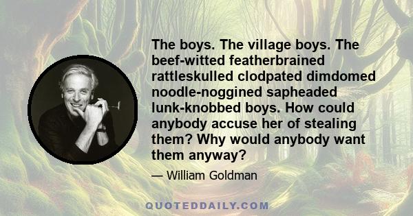 The boys. The village boys. The beef-witted featherbrained rattleskulled clodpated dimdomed noodle-noggined sapheaded lunk-knobbed boys. How could anybody accuse her of stealing them? Why would anybody want them anyway?