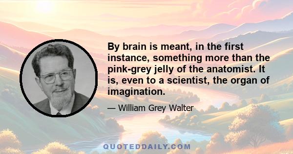 By brain is meant, in the first instance, something more than the pink-grey jelly of the anatomist. It is, even to a scientist, the organ of imagination.