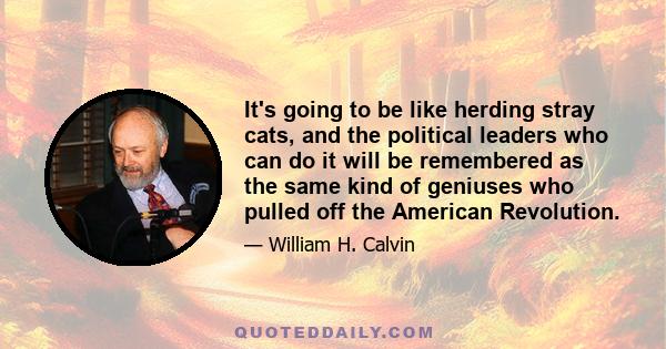 It's going to be like herding stray cats, and the political leaders who can do it will be remembered as the same kind of geniuses who pulled off the American Revolution.