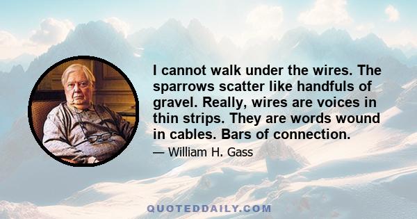 I cannot walk under the wires. The sparrows scatter like handfuls of gravel. Really, wires are voices in thin strips. They are words wound in cables. Bars of connection.