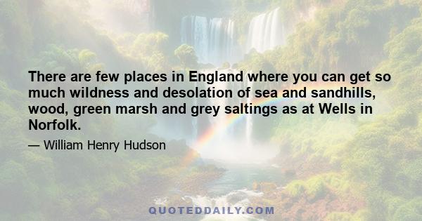 There are few places in England where you can get so much wildness and desolation of sea and sandhills, wood, green marsh and grey saltings as at Wells in Norfolk.