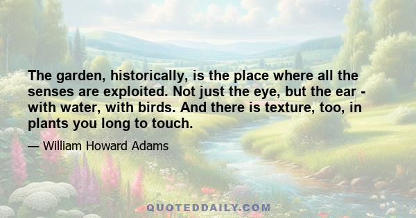 The garden, historically, is the place where all the senses are exploited. Not just the eye, but the ear - with water, with birds. And there is texture, too, in plants you long to touch.