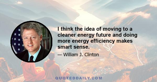 I think the idea of moving to a cleaner energy future and doing more energy efficiency makes smart sense.