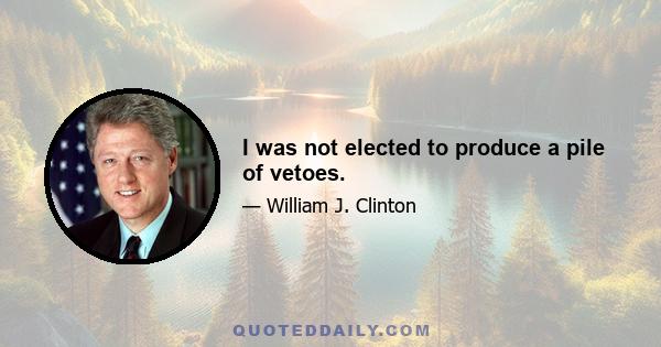 I was not elected to produce a pile of vetoes.