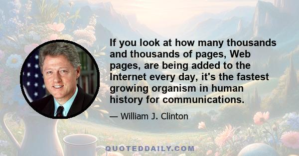 If you look at how many thousands and thousands of pages, Web pages, are being added to the Internet every day, it's the fastest growing organism in human history for communications.