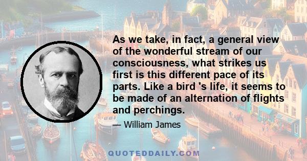 As we take, in fact, a general view of the wonderful stream of our consciousness, what strikes us first is this different pace of its parts. Like a bird 's life, it seems to be made of an alternation of flights and