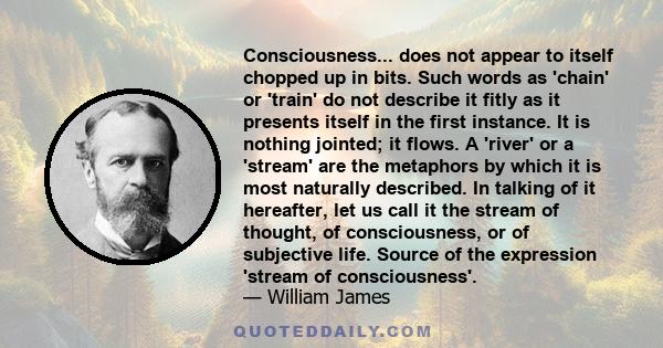 Consciousness... does not appear to itself chopped up in bits. Such words as 'chain' or 'train' do not describe it fitly as it presents itself in the first instance. It is nothing jointed; it flows. A 'river' or a