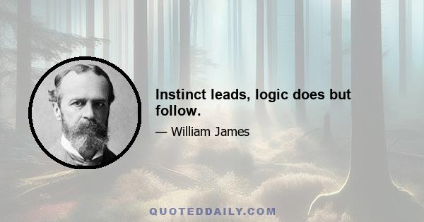 Instinct leads, logic does but follow.