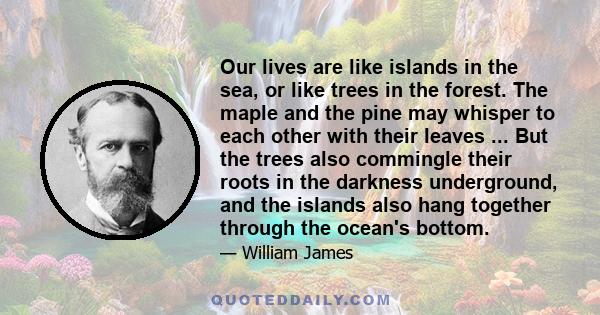 Our lives are like islands in the sea, or like trees in the forest. The maple and the pine may whisper to each other with their leaves ... But the trees also commingle their roots in the darkness underground, and the