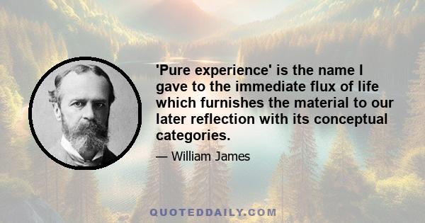 'Pure experience' is the name I gave to the immediate flux of life which furnishes the material to our later reflection with its conceptual categories.