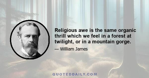 Religious awe is the same organic thrill which we feel in a forest at twilight, or in a mountain gorge.