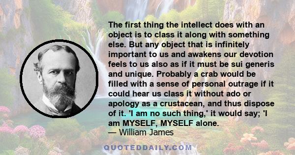 The first thing the intellect does with an object is to class it along with something else. But any object that is infinitely important to us and awakens our devotion feels to us also as if it must be sui generis and