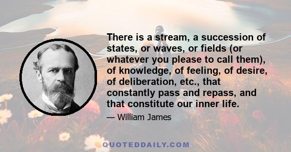 There is a stream, a succession of states, or waves, or fields (or whatever you please to call them), of knowledge, of feeling, of desire, of deliberation, etc., that constantly pass and repass, and that constitute our