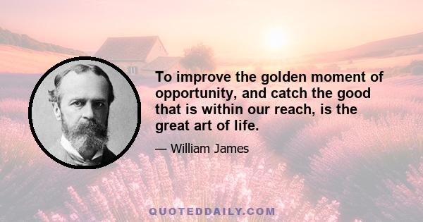 To improve the golden moment of opportunity, and catch the good that is within our reach, is the great art of life.