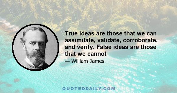 True ideas are those that we can assimilate, validate, corroborate, and verify. False ideas are those that we cannot