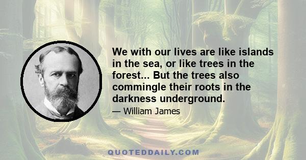 We with our lives are like islands in the sea, or like trees in the forest... But the trees also commingle their roots in the darkness underground.