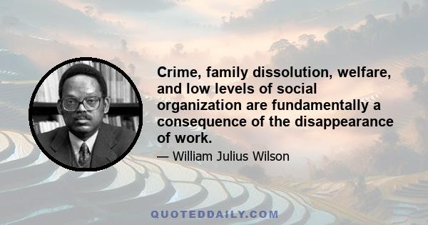 Crime, family dissolution, welfare, and low levels of social organization are fundamentally a consequence of the disappearance of work.