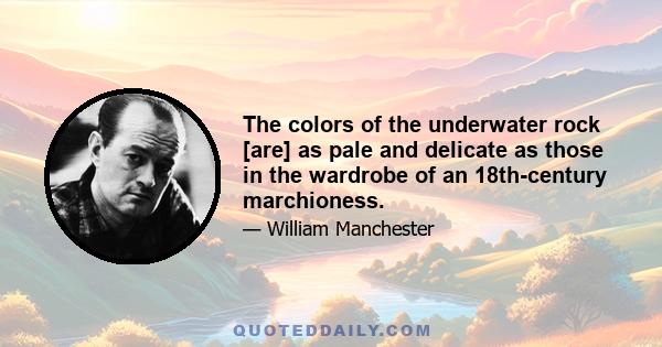 The colors of the underwater rock [are] as pale and delicate as those in the wardrobe of an 18th-century marchioness.