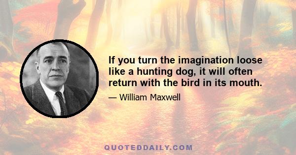 If you turn the imagination loose like a hunting dog, it will often return with the bird in its mouth.