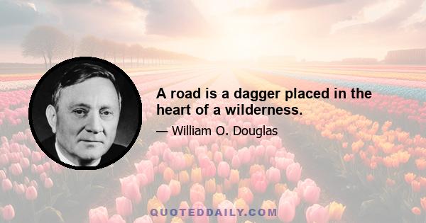 A road is a dagger placed in the heart of a wilderness.