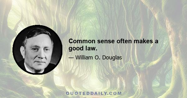 Common sense often makes a good law.