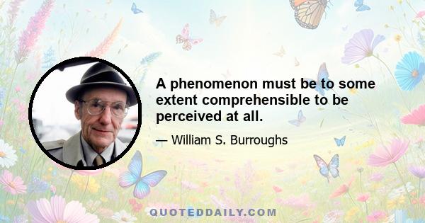 A phenomenon must be to some extent comprehensible to be perceived at all.