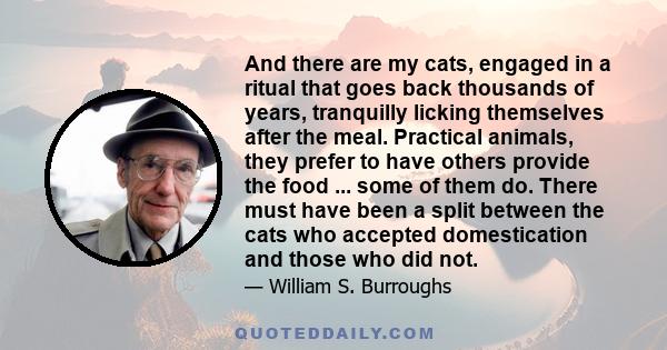 And there are my cats, engaged in a ritual that goes back thousands of years, tranquilly licking themselves after the meal. Practical animals, they prefer to have others provide the food ... some of them do. There must