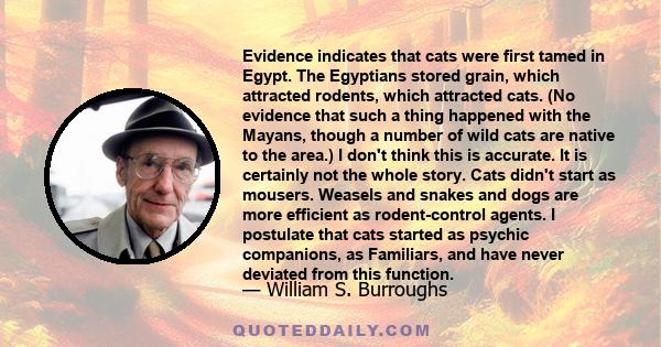 Evidence indicates that cats were first tamed in Egypt. The Egyptians stored grain, which attracted rodents, which attracted cats. (No evidence that such a thing happened with the Mayans, though a number of wild cats