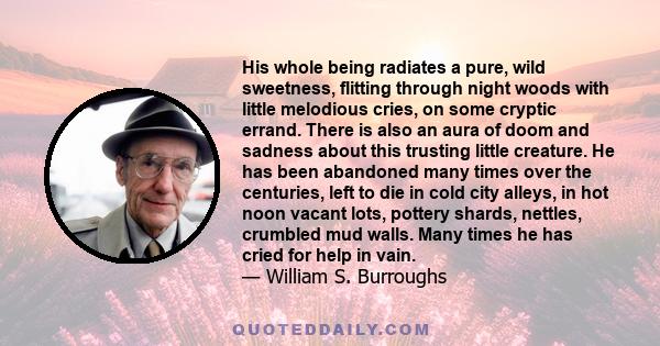 His whole being radiates a pure, wild sweetness, flitting through night woods with little melodious cries, on some cryptic errand. There is also an aura of doom and sadness about this trusting little creature. He has