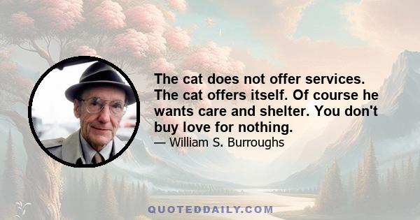 The cat does not offer services. The cat offers itself. Of course he wants care and shelter. You don't buy love for nothing.