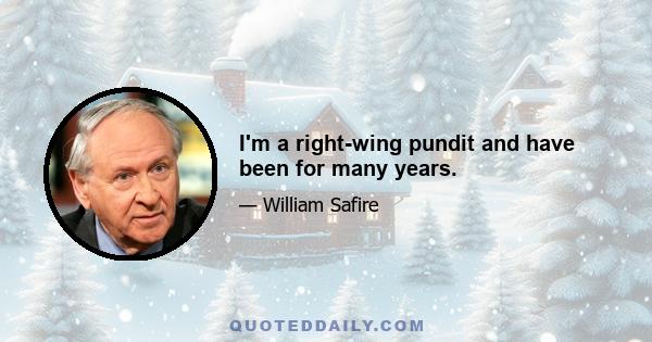 I'm a right-wing pundit and have been for many years.