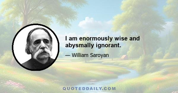 I am enormously wise and abysmally ignorant.