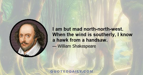 I am but mad north-north-west. When the wind is southerly, I know a hawk from a handsaw.