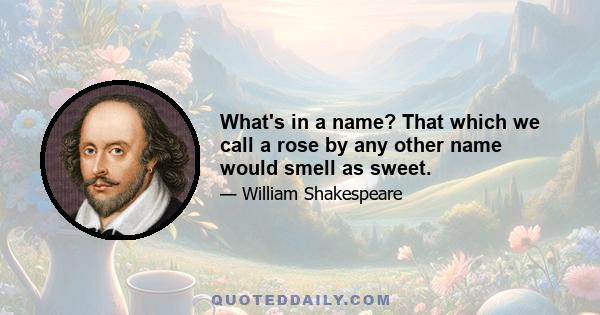 What's in a name? That which we call a rose by any other name would smell as sweet.