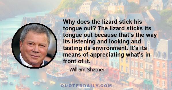 Why does the lizard stick his tongue out? The lizard sticks its tongue out because that's the way its listening and looking and tasting its environment. It's its means of appreciating what's in front of it.