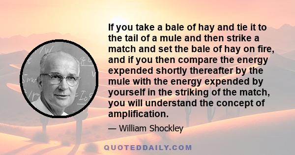 If you take a bale of hay and tie it to the tail of a mule and then strike a match and set the bale of hay on fire, and if you then compare the energy expended shortly thereafter by the mule with the energy expended by