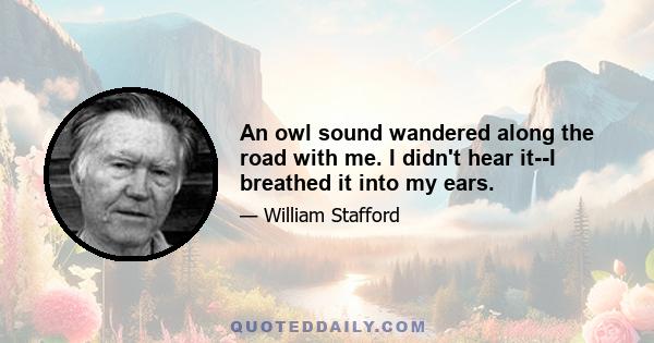 An owl sound wandered along the road with me. I didn't hear it--I breathed it into my ears.