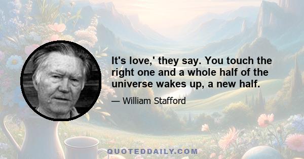 It's love,' they say. You touch the right one and a whole half of the universe wakes up, a new half.