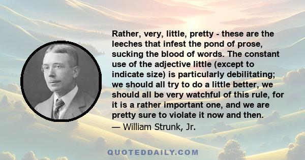 Rather, very, little, pretty - these are the leeches that infest the pond of prose, sucking the blood of words. The constant use of the adjective little (except to indicate size) is particularly debilitating; we should