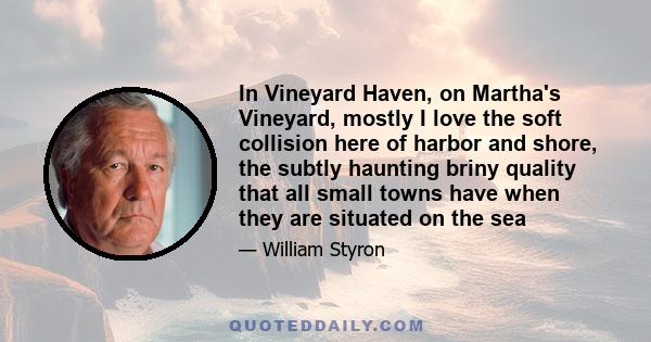 In Vineyard Haven, on Martha's Vineyard, mostly I love the soft collision here of harbor and shore, the subtly haunting briny quality that all small towns have when they are situated on the sea