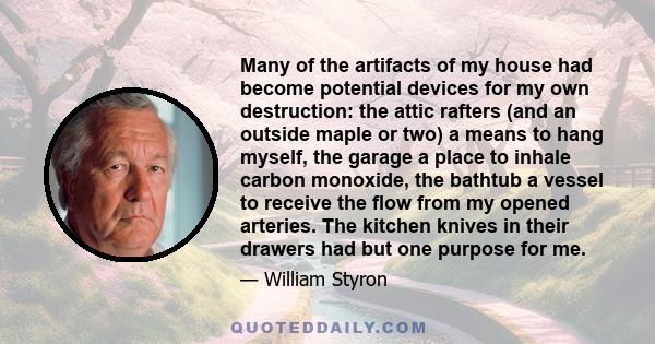 Many of the artifacts of my house had become potential devices for my own destruction: the attic rafters (and an outside maple or two) a means to hang myself, the garage a place to inhale carbon monoxide, the bathtub a