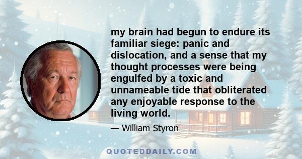 my brain had begun to endure its familiar siege: panic and dislocation, and a sense that my thought processes were being engulfed by a toxic and unnameable tide that obliterated any enjoyable response to the living