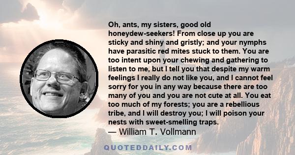 Oh, ants, my sisters, good old honeydew-seekers! From close up you are sticky and shiny and gristly; and your nymphs have parasitic red mites stuck to them. You are too intent upon your chewing and gathering to listen