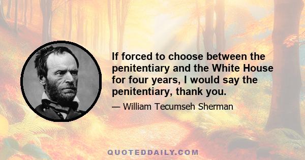 If forced to choose between the penitentiary and the White House for four years, I would say the penitentiary, thank you.